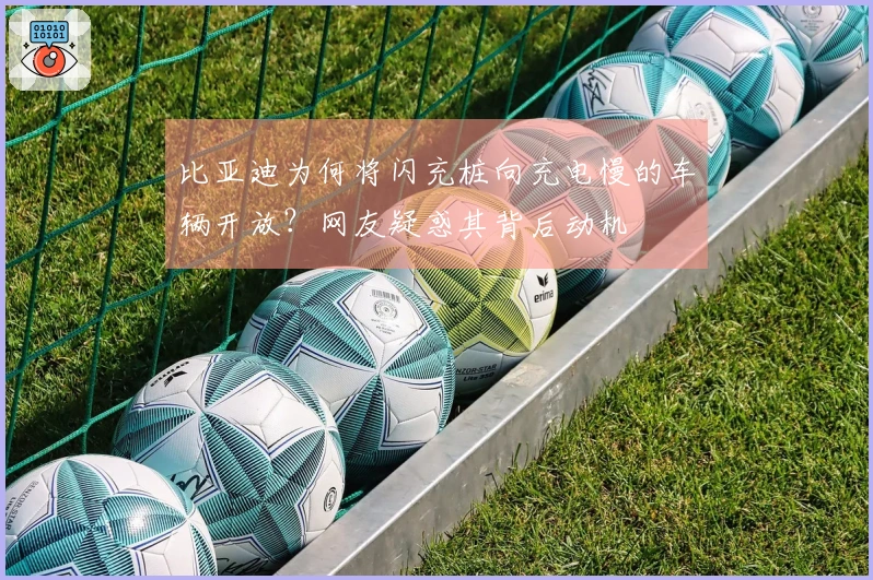 比亚迪为何将闪充桩向充电慢的车辆开放？网友疑惑其背后动机