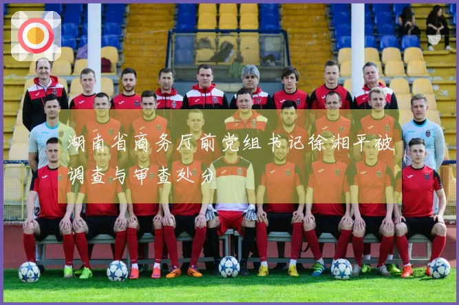 湖南省商务厅前党组书记徐湘平被调查与审查处分