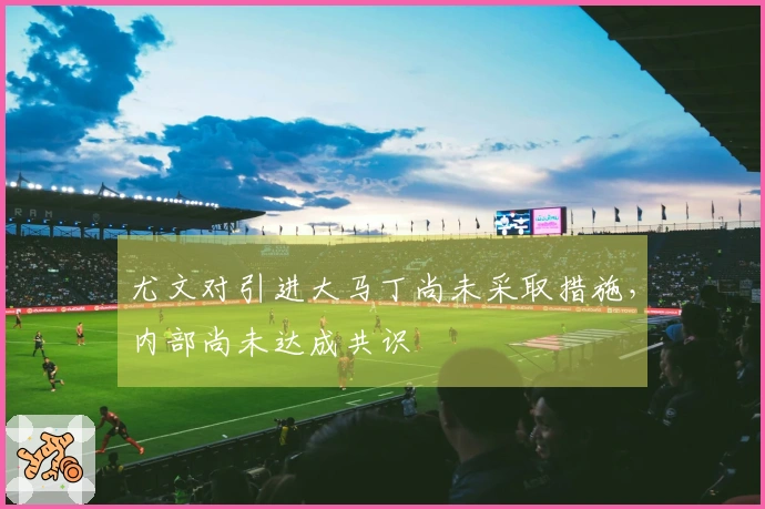 尤文对引进大马丁尚未采取措施，内部尚未达成共识