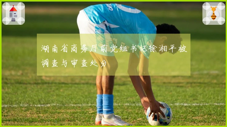 湖南省商务厅前党组书记徐湘平被调查与审查处分